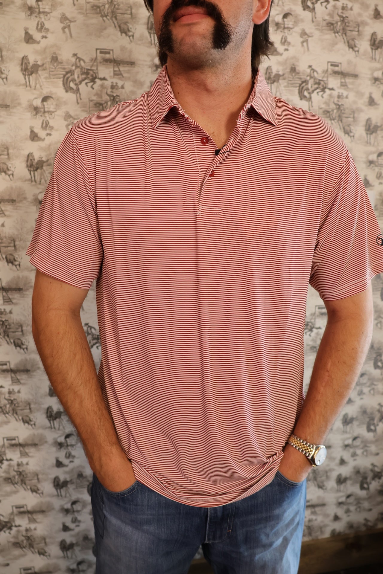 The Hairline Stripe Polo