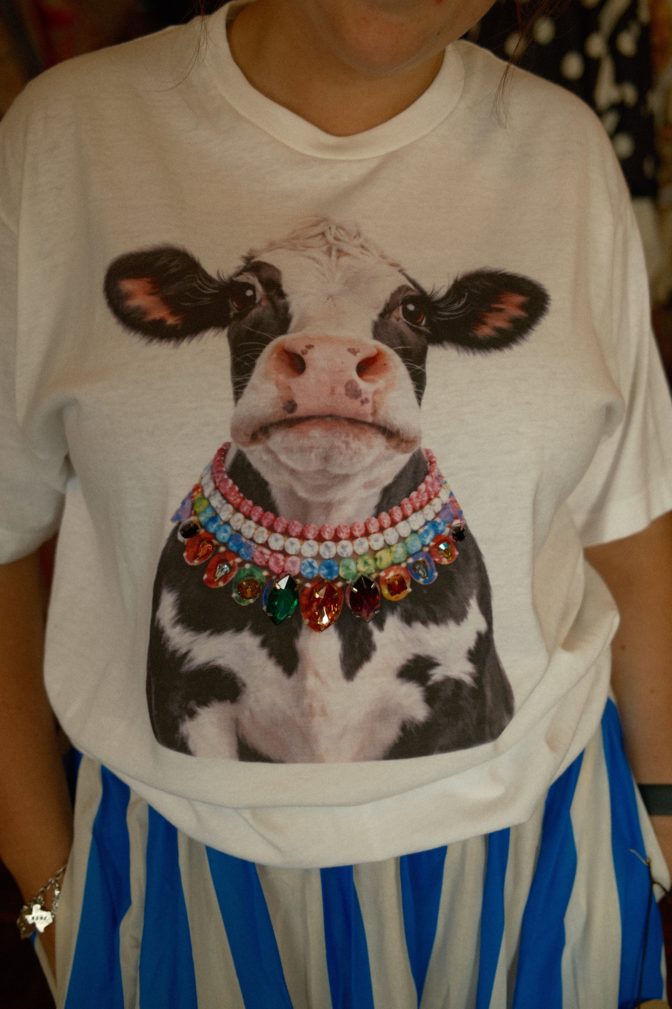 Diva Dairy Cow